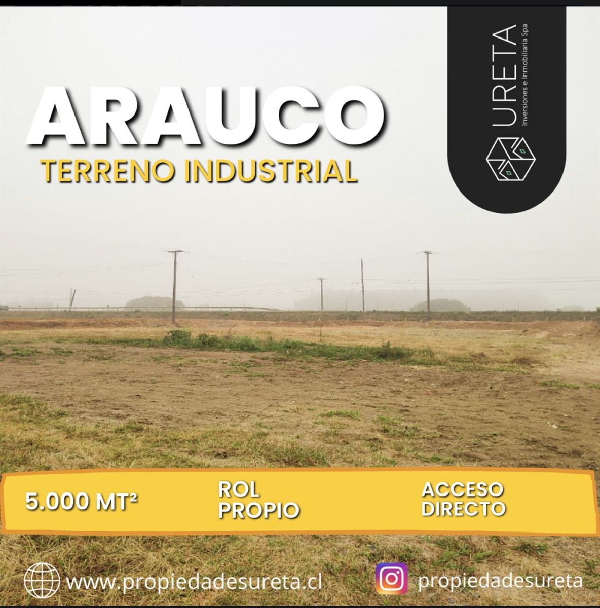 Venta Industrial Arauco - Biobío