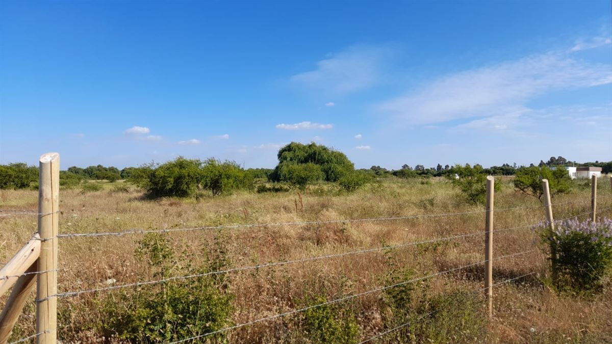 Venta Parcela San carlos - Ñuble