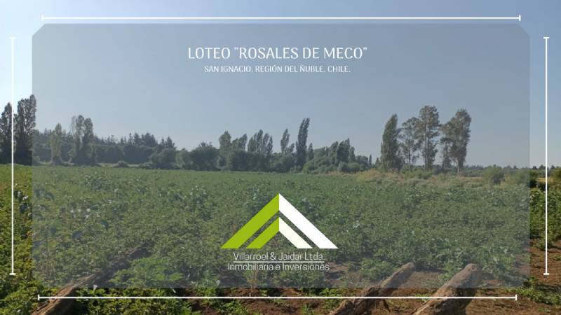 Venta Parcela San ignacio - Ñuble