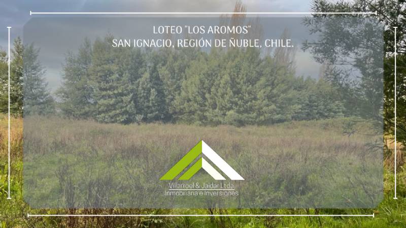 Venta Parcela San ignacio - Ñuble