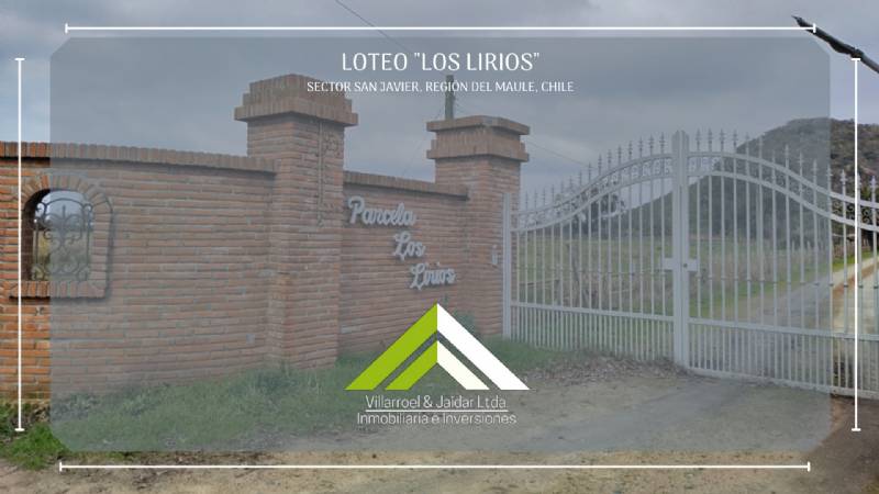 Venta Parcela Villa alegre - Maule