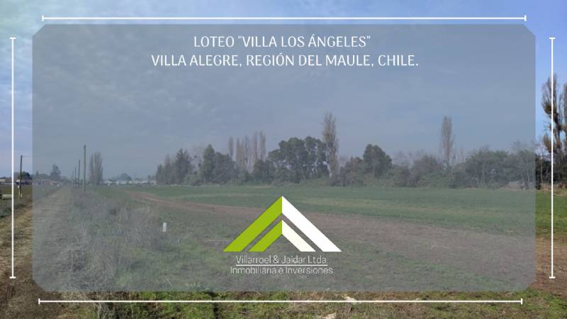 Venta Parcela Villa alegre - Maule