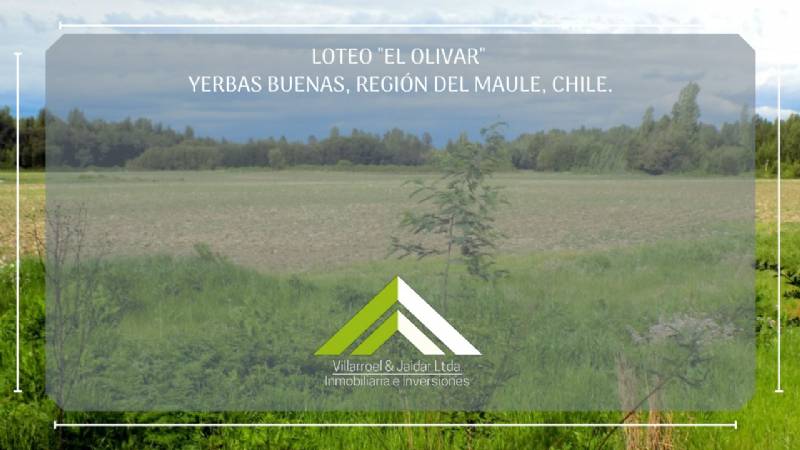 Venta Parcela Yerbas buenas - Maule