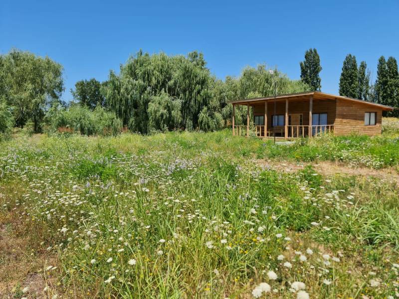 Venta Parcela Villa alegre - Maule