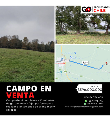Venta Parcela Gorbea - La Araucanía