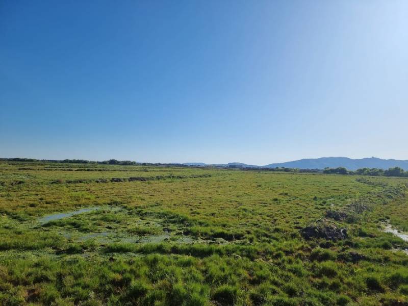Venta Agrícola Longaví - Maule