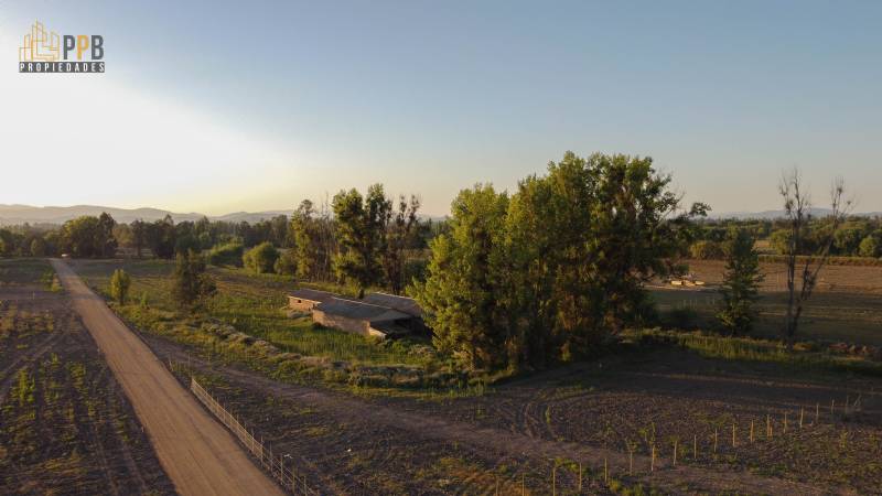 Venta Agrícola Villa alegre - Maule