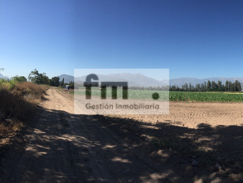 Venta Agrícola Buin - Región Metropolitana