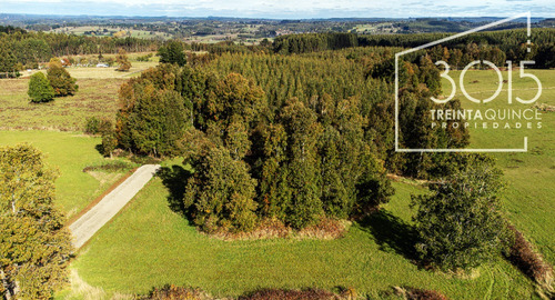 Venta Parcela Osorno - Los Lagos