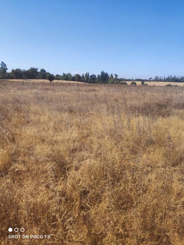 Venta Parcela El carmen - Ñuble