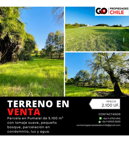 Venta Parcela Vilcún - La Araucanía
