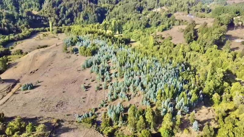 Venta Sitio San Juan de La Costa - Los Lagos
