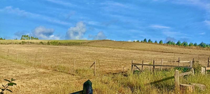 Venta Sitio Nueva Imperial - La Araucanía
