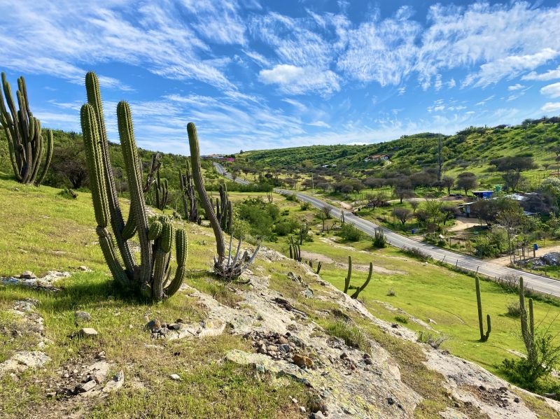 Venta Sitio Litueche - O'Higgins