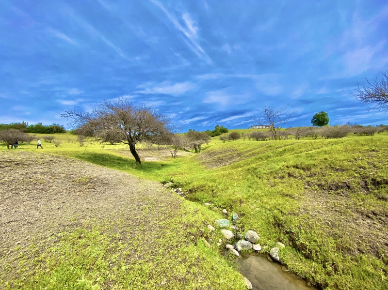 Venta Sitio Litueche - O'Higgins
