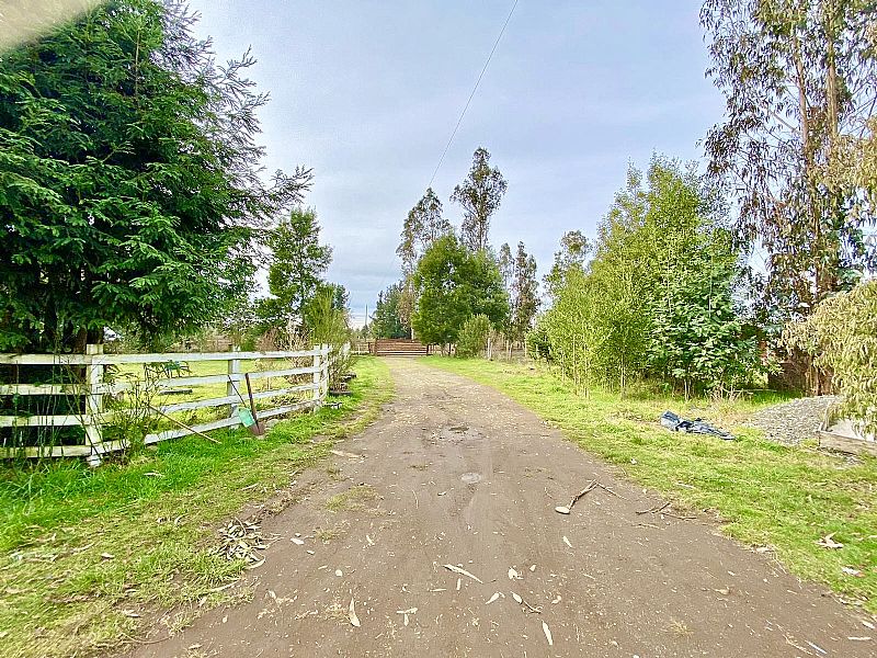 Venta Parcela Pitrufquén - La Araucanía