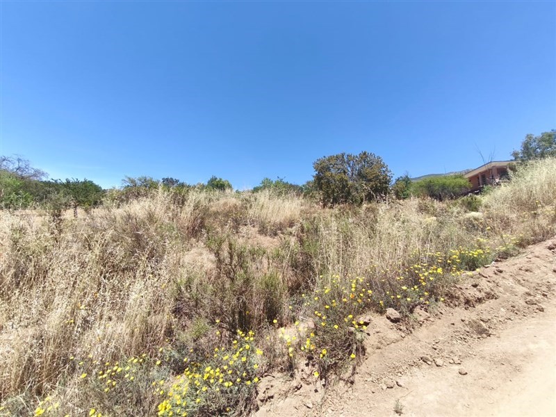 Venta Parcela Curacaví - Región Metropolitana