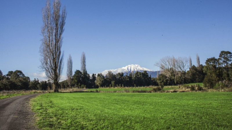 Venta Parcela Puerto Varas - Los Lagos