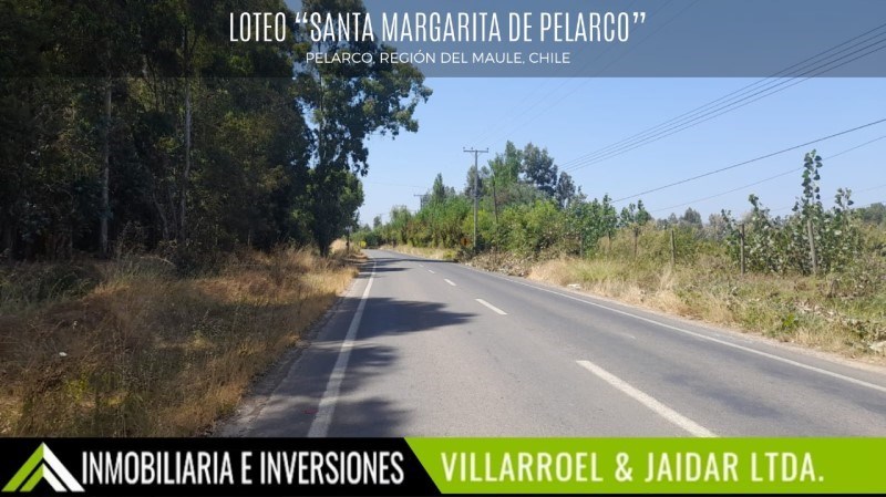 Venta Parcela Pelarco - Maule