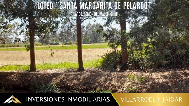 Venta Parcela Pelarco - Maule