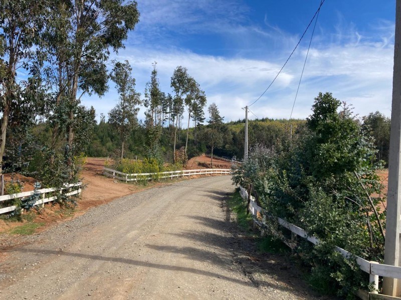 Venta Sitio Hualqui - Biobío