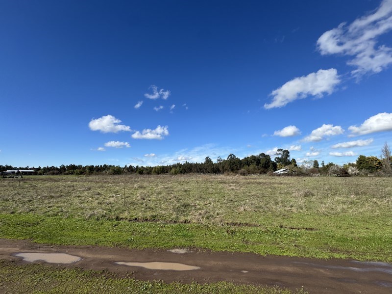 Venta Parcela Bulnes - Ñuble