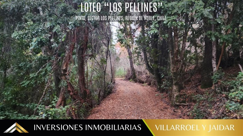 Venta Parcela Chillán - Ñuble