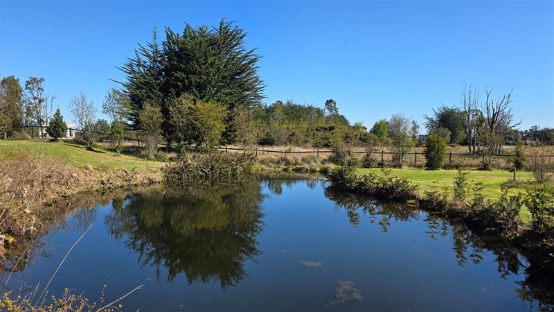 Venta Parcela Puerto Varas - Los Lagos