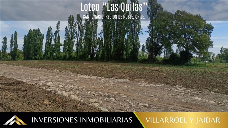 Venta Parcela San Ignacio - Ñuble