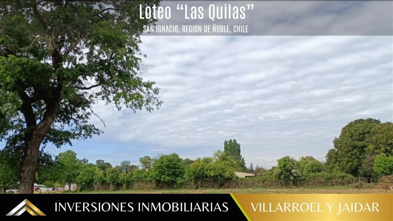 Venta Parcela San Ignacio - Ñuble