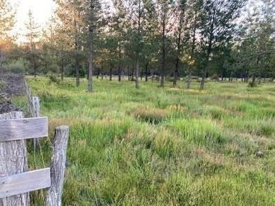 Venta Sitio Los Angeles - Biobío