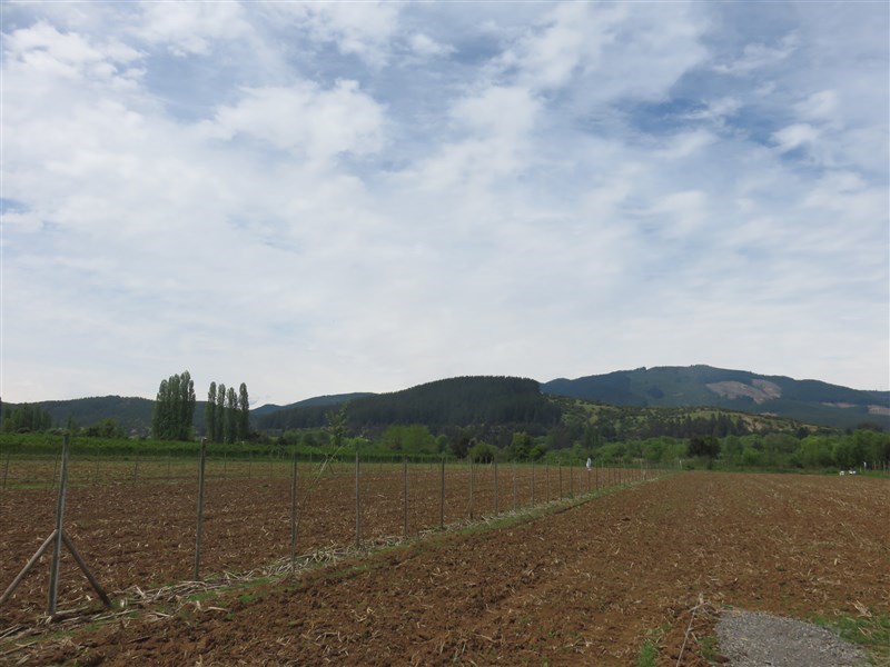 Venta Sitio Longaví - Maule