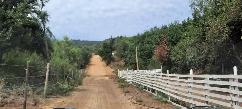 Venta Parcela Molina - Maule