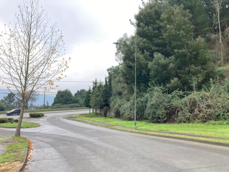 Venta Sitio Chiguayante - Biobío