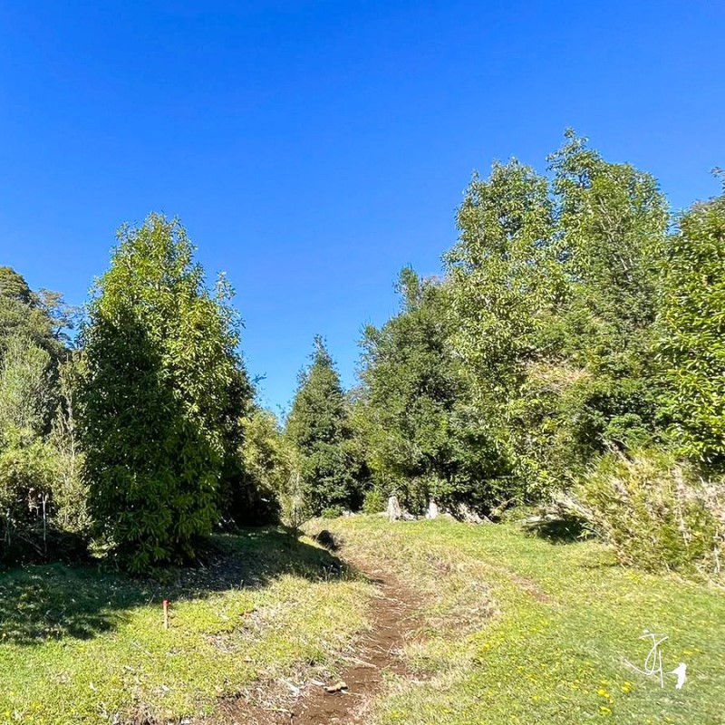 Venta Parcela Osorno - Los Lagos