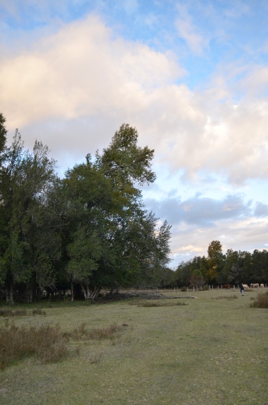 Venta Parcela Curacautín - La Araucanía