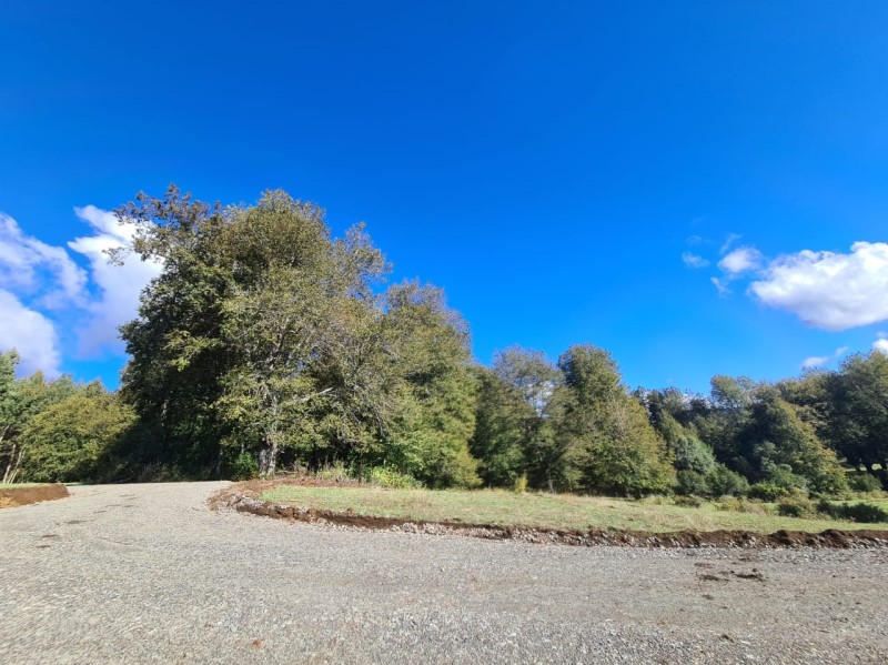 Venta Parcela Temuco - La Araucanía
