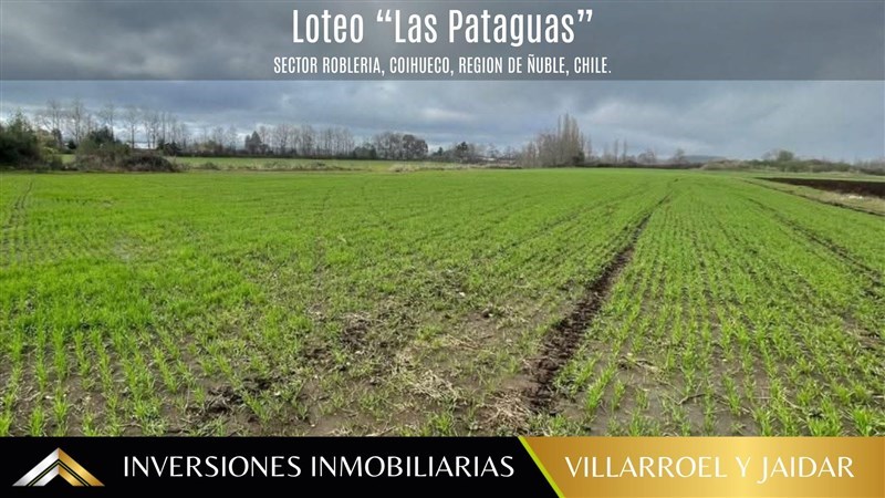 Venta Parcela Coihueco - Ñuble