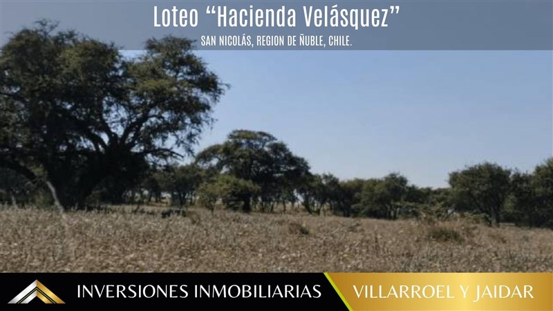Venta Parcela Chillán - Ñuble