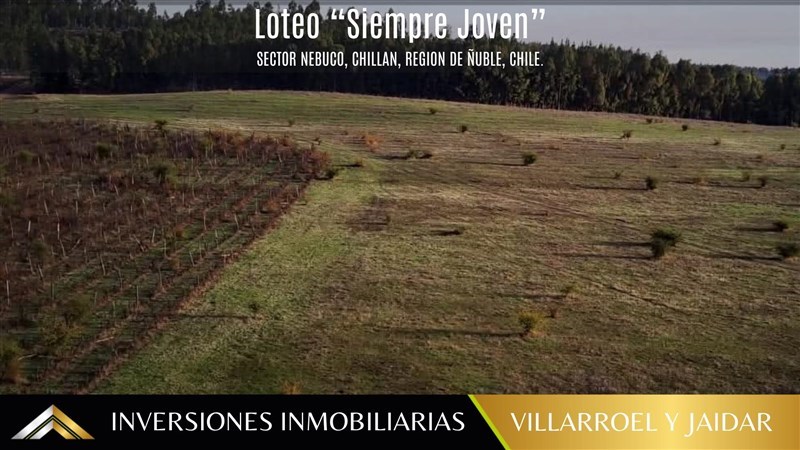 Venta Parcela Chillan Viejo - Ñuble