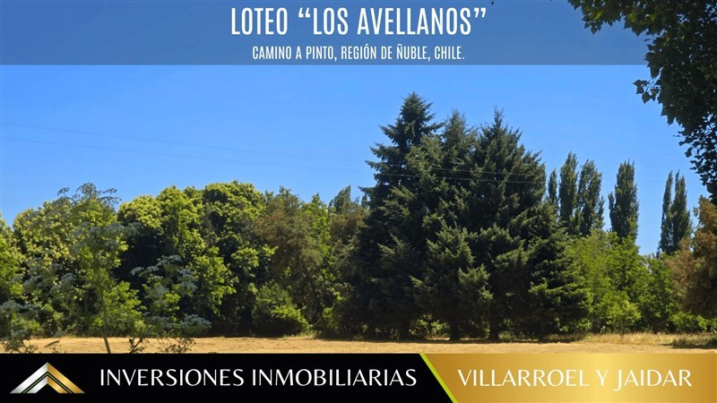 Venta Parcela Chillán - Ñuble