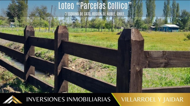 Venta Parcela Coihueco - Ñuble