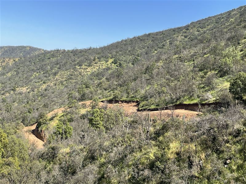 Venta Sitio Curacaví - Región Metropolitana