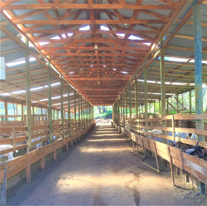 Venta Parcela Curacaví - Región Metropolitana
