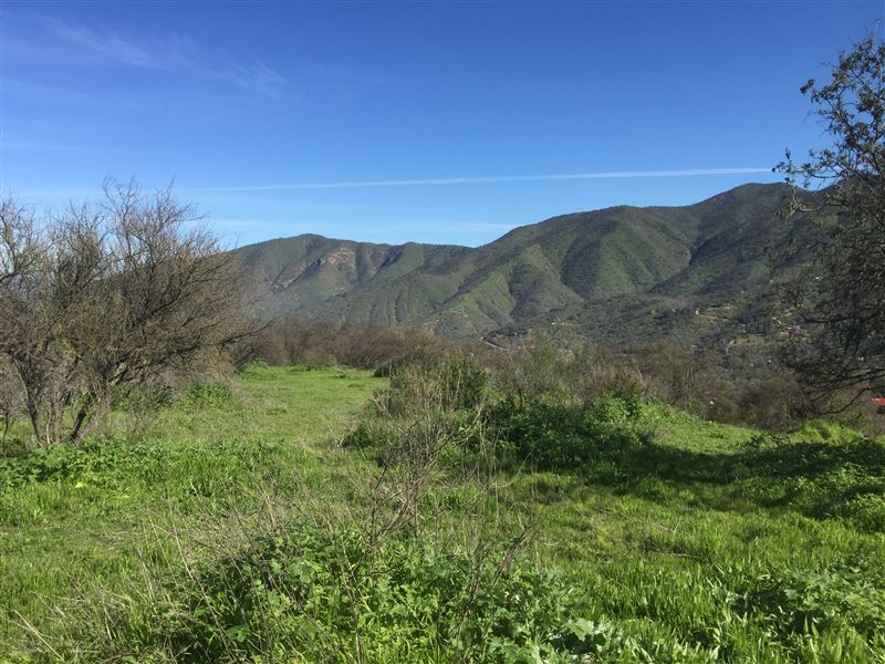 Venta Parcela Curacaví - Región Metropolitana