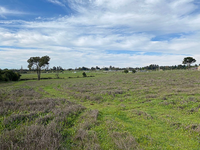 Venta Parcela Chillán - Ñuble