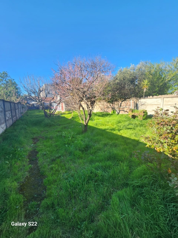 Venta Sitio Chillán - Ñuble