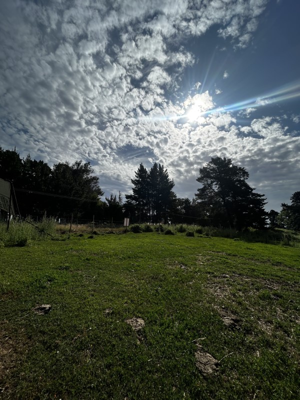 Venta Parcela Bulnes - Ñuble