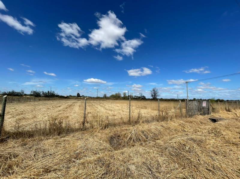 Venta Parcela Chillán - Ñuble