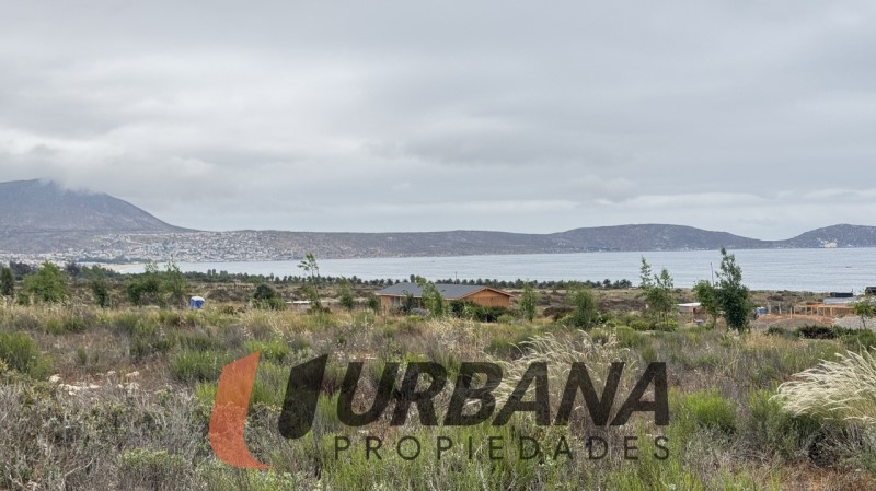 Venta Sitio Coquimbo - Coquimbo